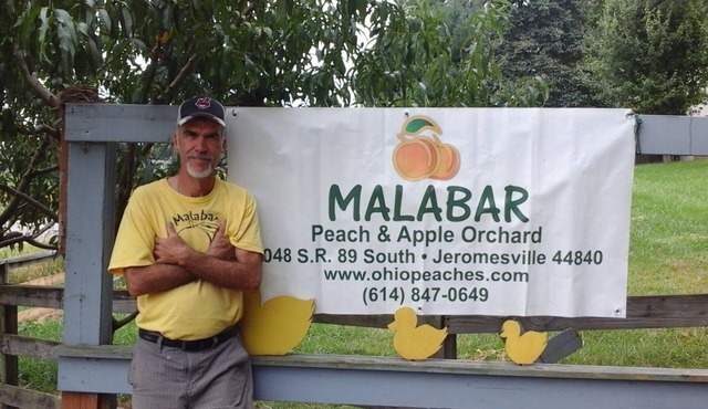 Orchard Retreat Malabar Peach & Apple Orchard. Peaceful and Pet Friendly