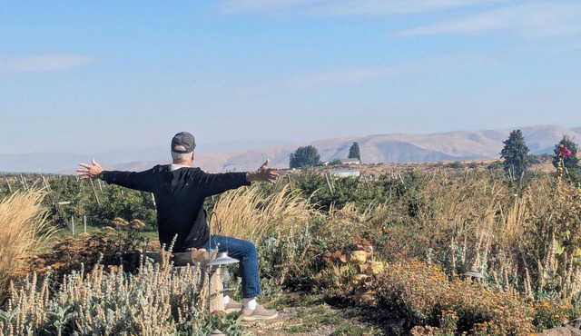 Orchard View Oasis- Feast your eyes on this stunning agricultural landscape!