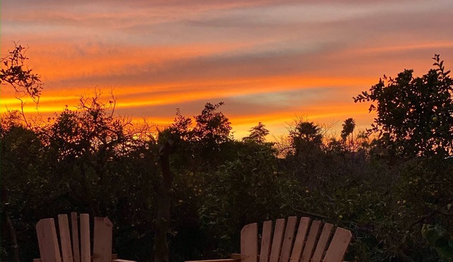 Orchard walks + Sunset views