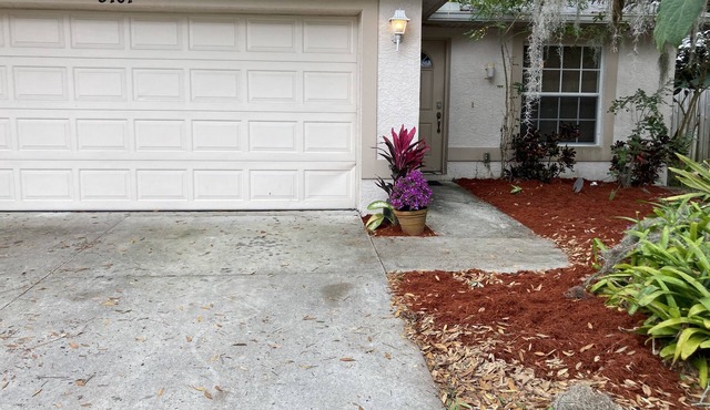 Orchid House 5 minutes from the beach