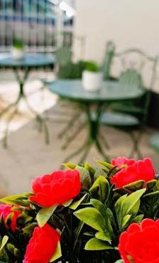 Orelli House - Bilocal Garden