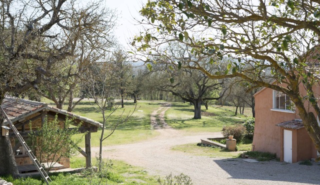 ORGANICALLY-GROWN AGRICULTURAL ESTATE - Absolute comfort and calm