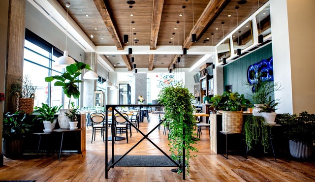 Origin Lexington a Wyndham Hotel