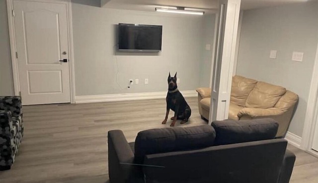 Oshawa Connect: Prime Location, Modern Space