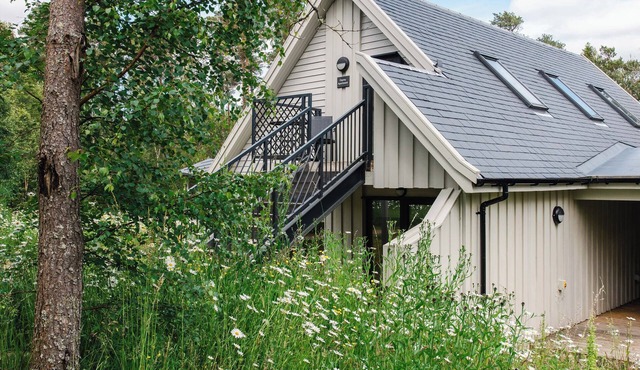 OSPREY APARTMENT, pet friendly, character holiday cottage in Aviemore