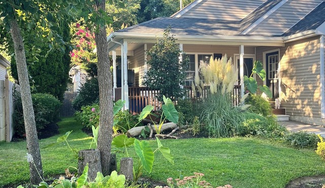 OSPREY NEST n 300+ ⭐️⭐️⭐️⭐️⭐️ Reviews! Secluded. Peaceful. Near beaches & town