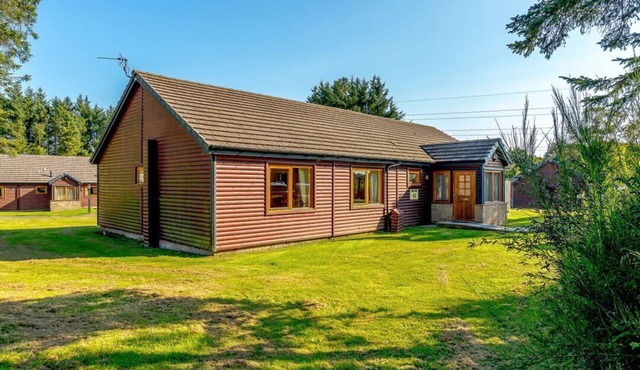 Osprey Spa Plus (Pet), Dundee