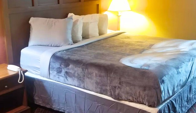 OSU 223 Queen Bed Hotel Room