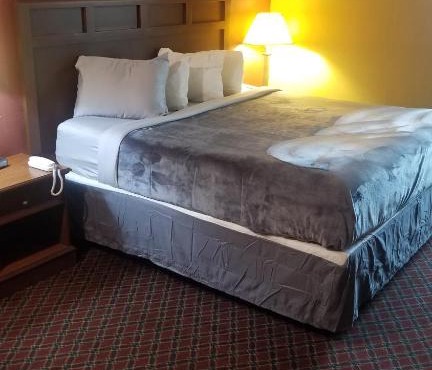 OSU King Bed Hotel Room 111 Booking