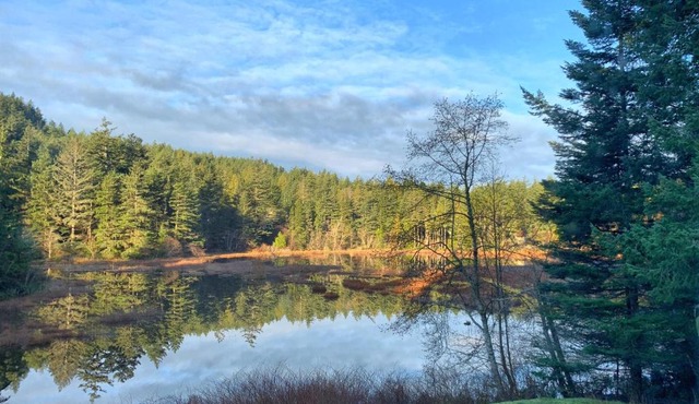 Otter's Pond Bed and Breakfast