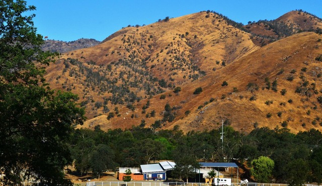 Our Cowboys Hideout is on a working horse ranch with spectacular mountain views!