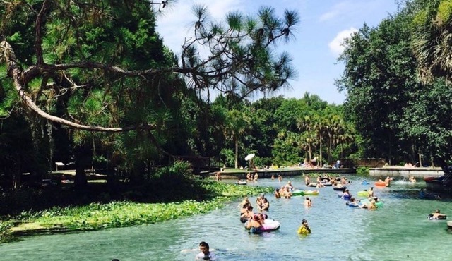 Our cozy cottage in the countryside