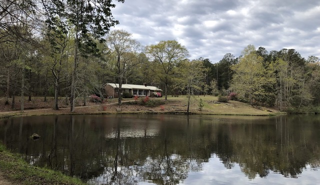 Our Family Pond House