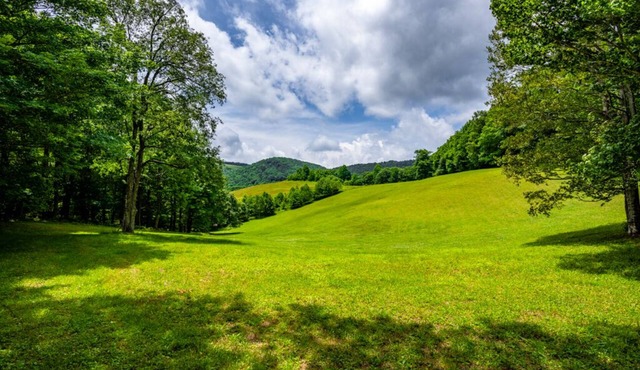 Our Mountain Getaway Very Private Pet Friendly