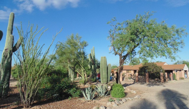 Our Upgraded Home on an Acre