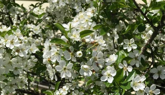 Our Valley View Bed & Breakfast