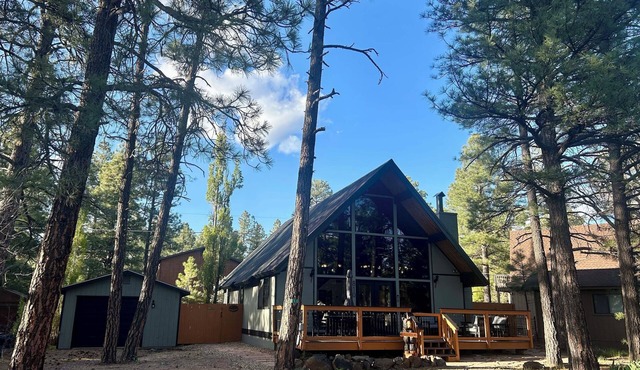 Out of Office: Cozy A-frame cabin in the pines near trails and adventure!