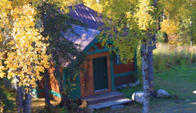 Out of the Wild Chalet