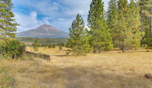 Outdoor Adventure Haven - 15 Mi to Mount Shasta!