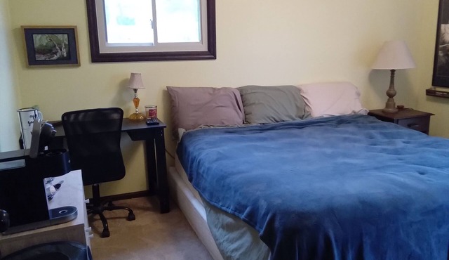 Outdoor Hot Tub, Cozy king bed, Private entrance