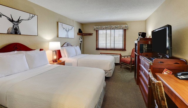 Outdoor Pool, Hot Breakfast, Deluxe 2 Queen, Stoney Creek Quad Cities