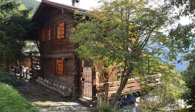 Outside: cottage for 6 people, balcony and terrace with garden furniture -Interior: 80 m2, closed en
