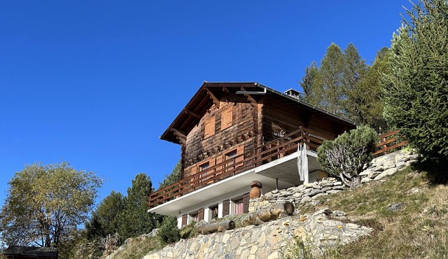 Outside: duplex apartment in chalet, for 8 people, balcony, large terrace with barbecue and garden f