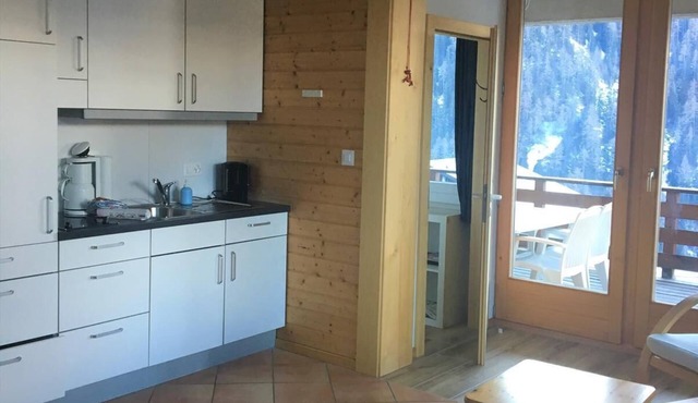 Outside : luxury modern Apartment on the ground floor of a chalet, for 4 persons, balcony-terrace, b