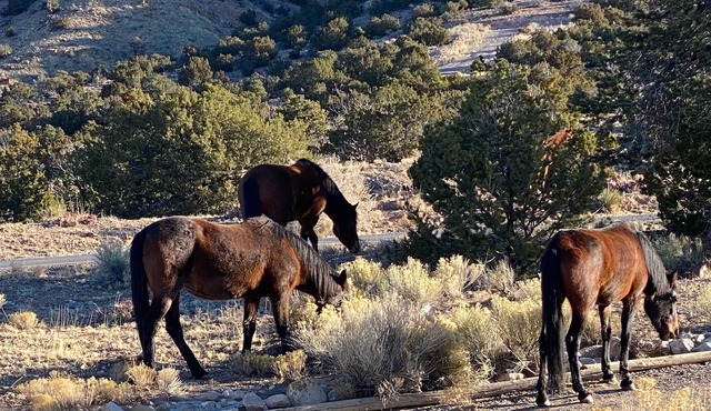 Outstanding Santa Fe charm throughout.