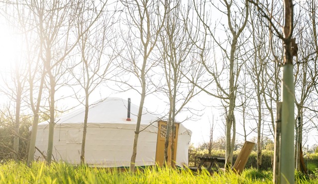 Overe - The Farm Camp