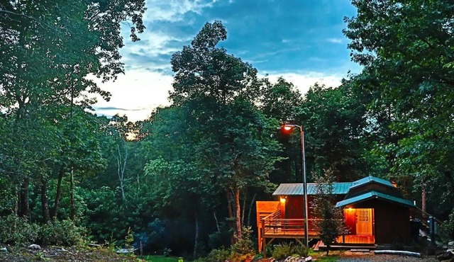 Overlook National Forest, Cozy cabin with hot tub and firepit.
