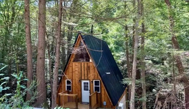 Overlook Oasis! RRG, A-frame Cabin, NEW HOT TUB, Grill! Pet friendly