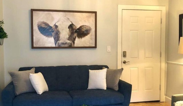 Overlooking Downtown Dunedin Two Bedroom apartment