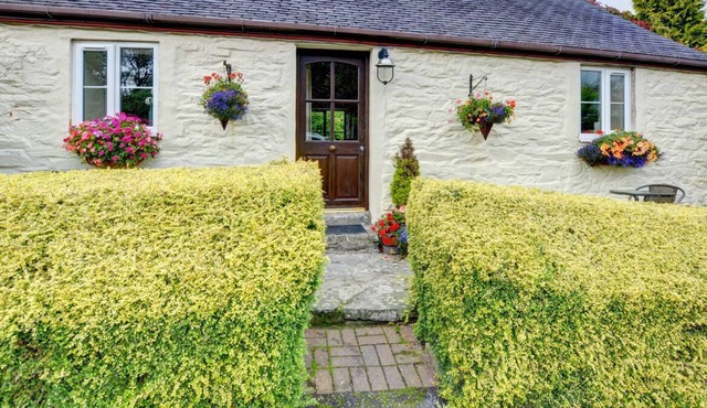Owl Cottage in Llanerchymedd