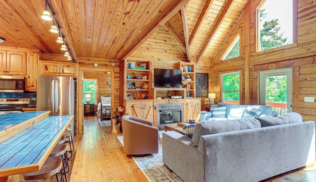 'Owl's Nest' Pet-Friendly Cabin w/Private Hot Tub