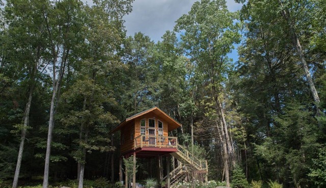 Owl's Nest - Treehouse -2mi. from falls trailhead