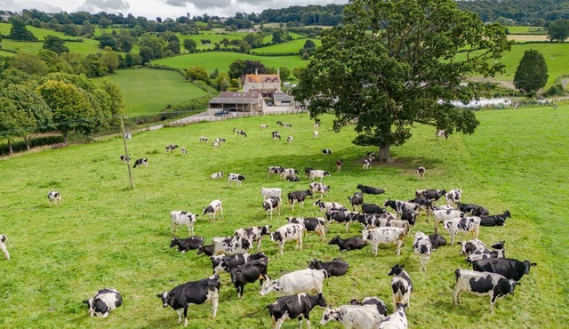 Owls Nest Barn - sleeps 9 guests in 4 bedrooms