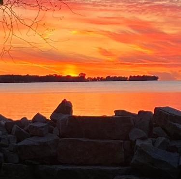 Owls Nest by Simple Life Rentals