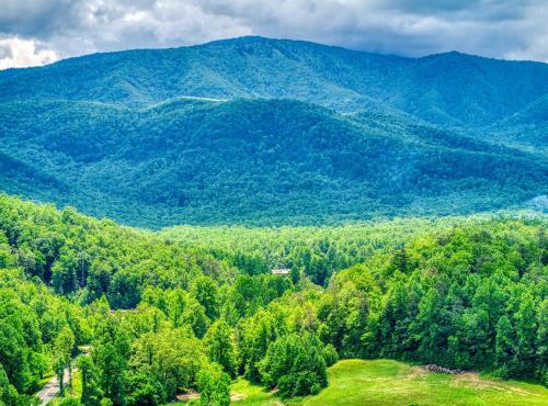 Owners Cabin -Pickleball Court, Creek, WIFI, Mountain Views, Starting at 99