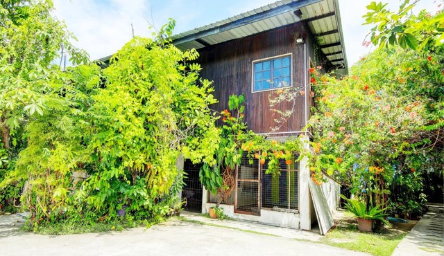 OYO HOME 90800 Rumah Pangi Homestay