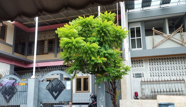 OYO Life 93403 Penginapan Adinda