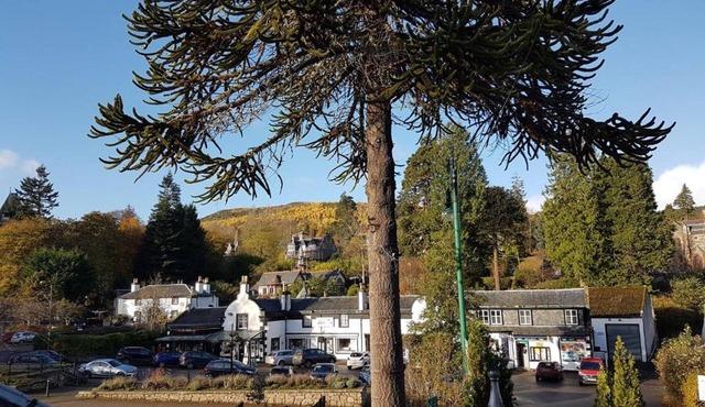 OYO Mackay'S Travel Lodge Hotel