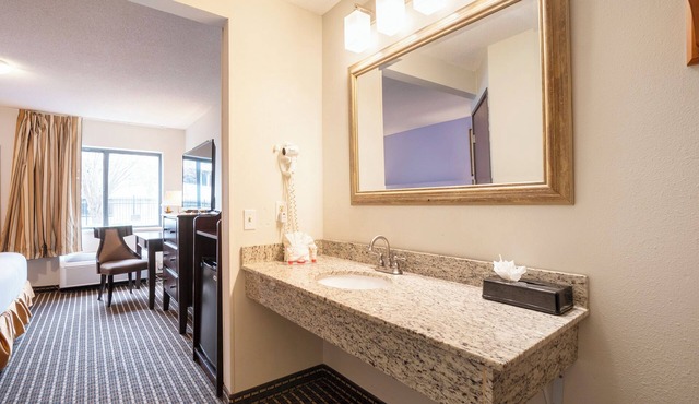 OYO Townhouse Houston Airport North