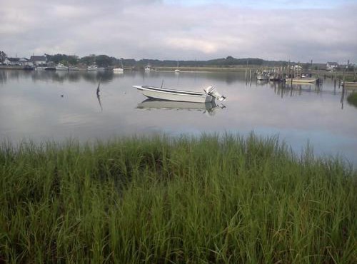 Oyster Cottage in Historic Fishing Village cottage