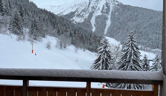 OZ Alpe d'Huez ski area apartment 8 people