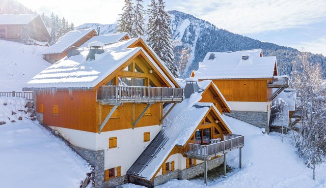 Oz/Alpe dHuez 230m slopes, up to 25 pers, Jacuzzi, rooms with bathroom