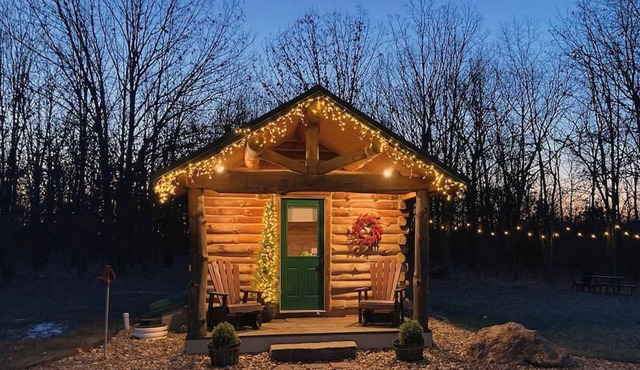 Ozark Oasis Luxury Cabin: Cozy one-bedroom with AC