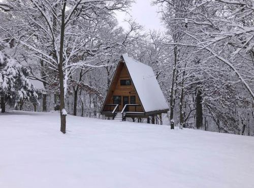 Ozark Retreat-Black Walnut Bungalow