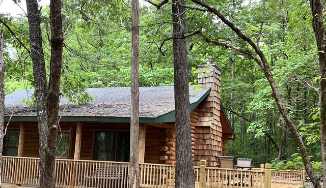 Ozarks Cabin on Table Rock Lake