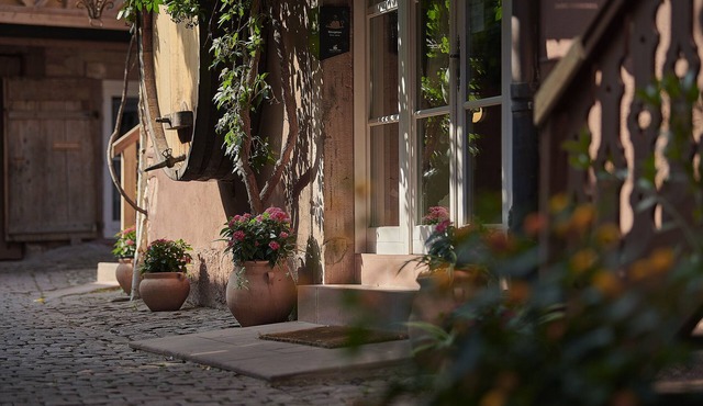 Pêche de Vigne & Spa